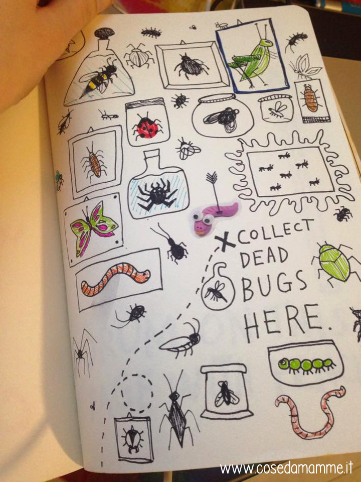 collect dead bugs here wreck this journal