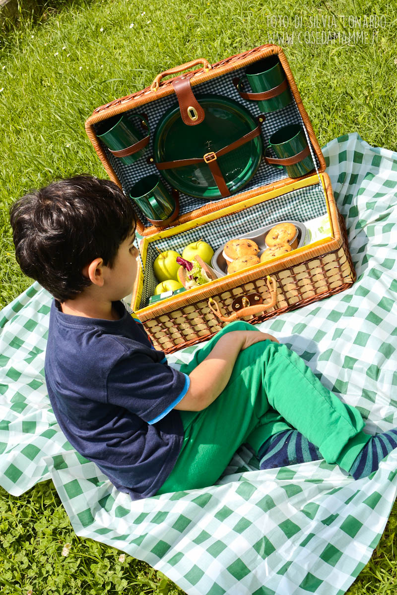 picnic-7