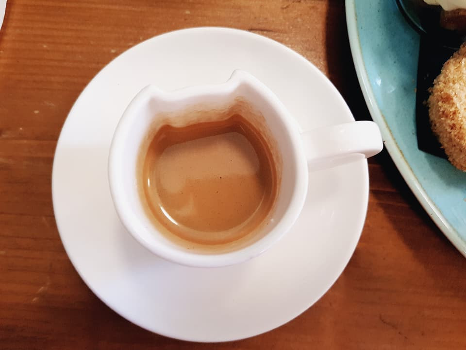 Crazy Cat Cafè - il locale in cui puoi bere e mangiare circondato dai gattini! 8 Crazy Cat Cafè - il locale in cui puoi bere e mangiare circondato dai gattini!