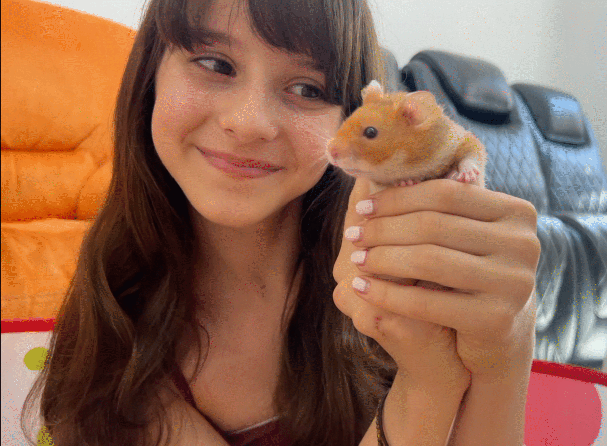 Come addomesticare un criceto: guida pratica per mamme (e bambini curiosi)