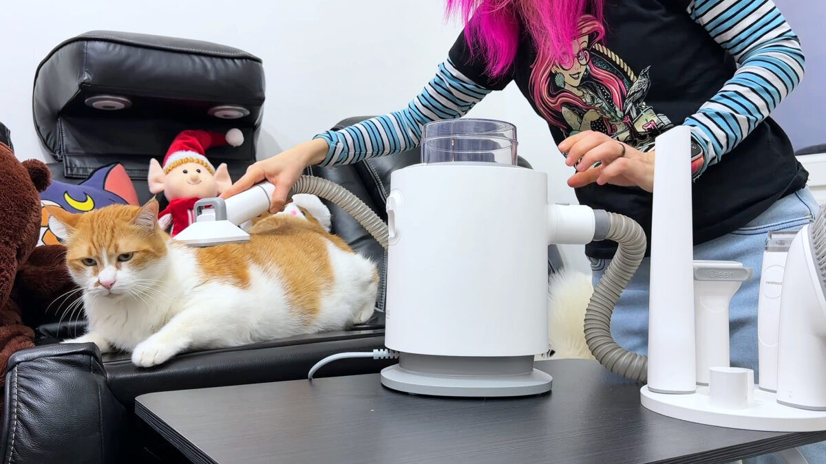 Pet Grooming Kit Neakasa P0: salone di bellezza per cani e gatti che aspira il pelo mentre lo togli🐱