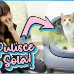 lettiera autopulente