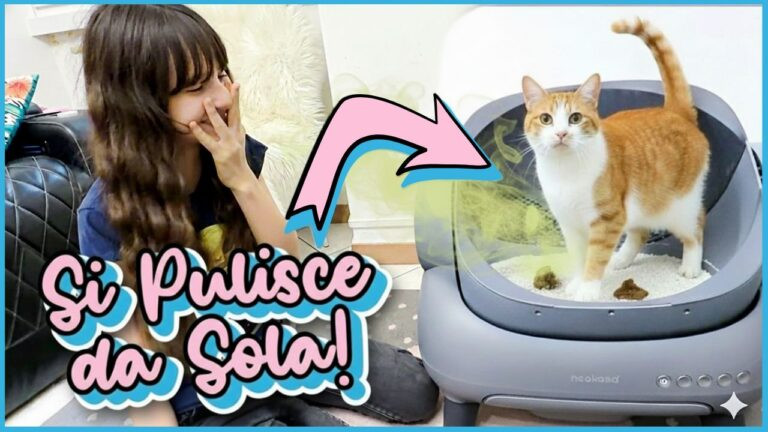 lettiera autopulente