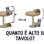Problema del Gatto, la Tartaruga e il tavolo (con soluzione)
