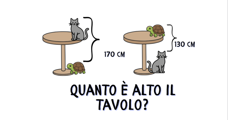 Problema del Gatto, la Tartaruga e il tavolo (con soluzione)